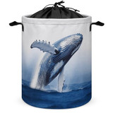 Blue Ocean Whale