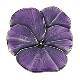 Purple Pansy