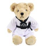Taekwondo Teddy Bear