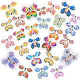Multicolored