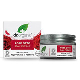 41JhvqTma2L._SL500_.jpg 41JhvqTma2L._SL500_.jpg