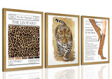 leopard Print Boots