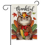 Thanksgiving Turkey Cat