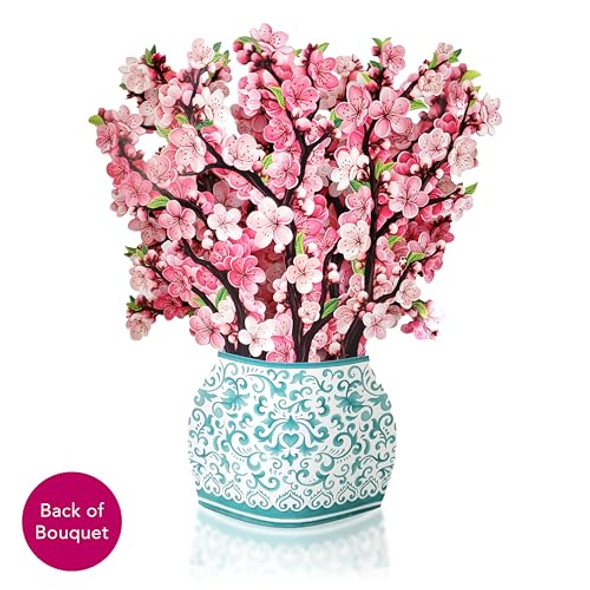 Cherry Blossoms