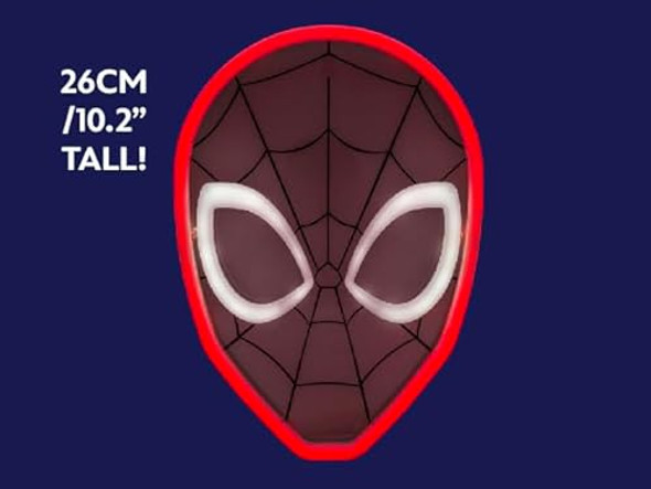 Multicolor Multicolor