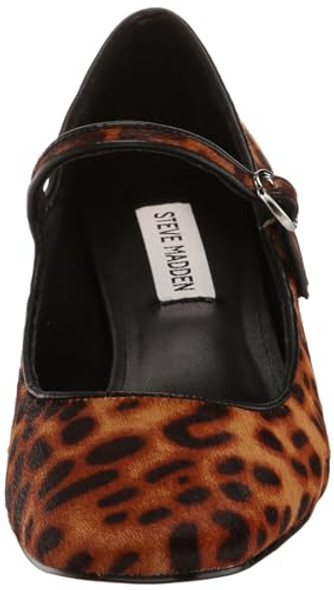 41rlZD13q-L._SL500_.jpg 41rlZD13q-L._SL500_.jpg