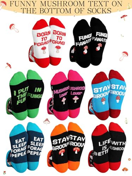 Multicolor Multicolor