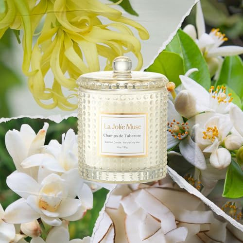 Champs de Tuberose