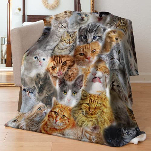 Cute Cats