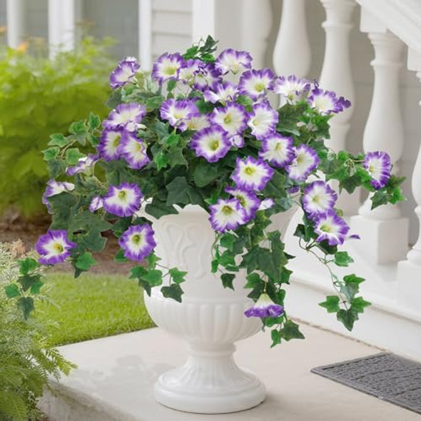 Pure Purple