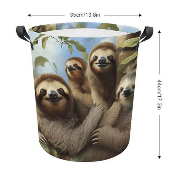 Sloth Family