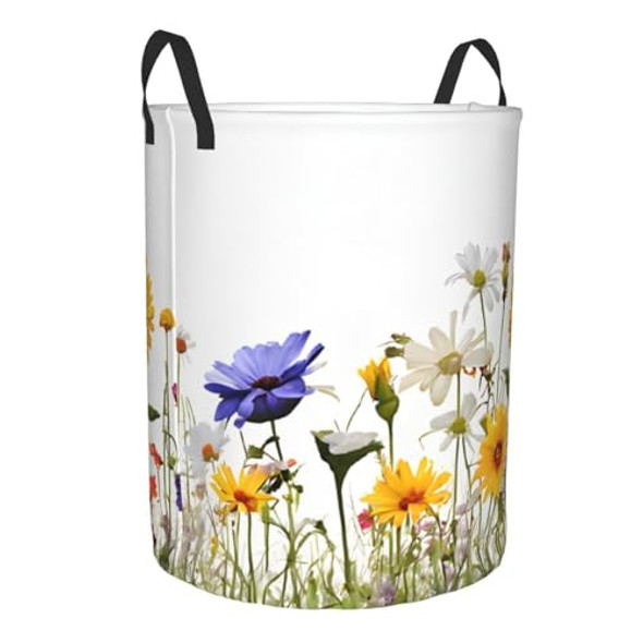 Iris Flower Butterfly