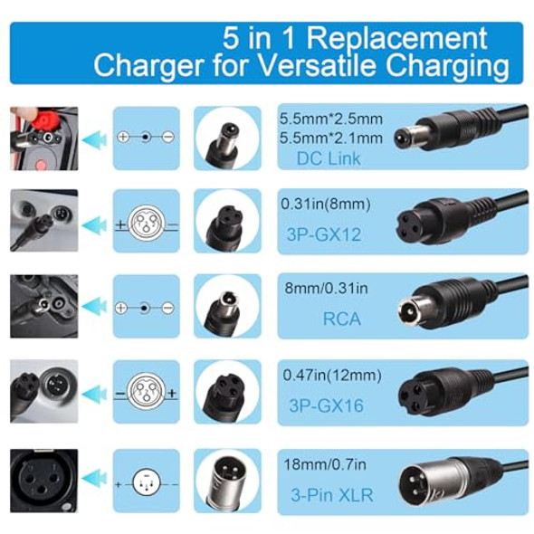 51YOTGgFDaL._SL500_.jpg 51YOTGgFDaL._SL500_.jpg