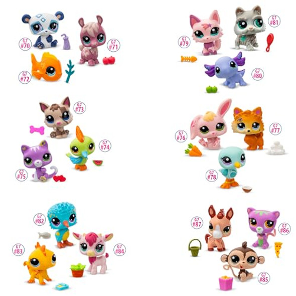 Multicolor Multicolor