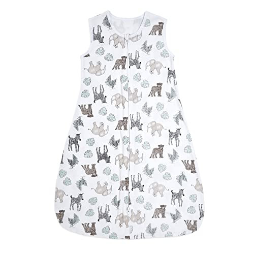 Jungle Animals