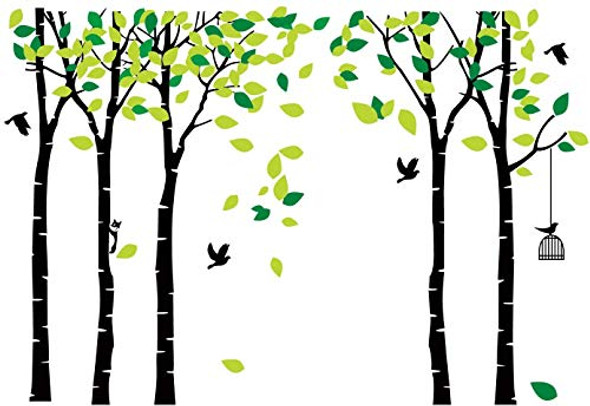 Black and Green Black and Green