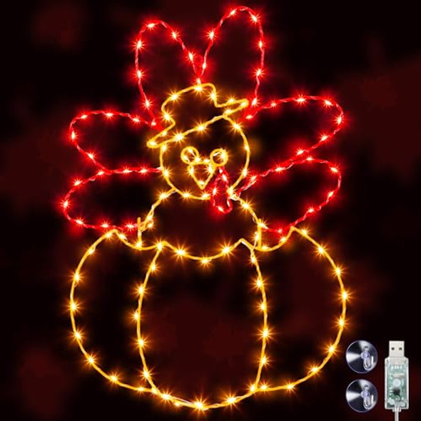 as the picture shown