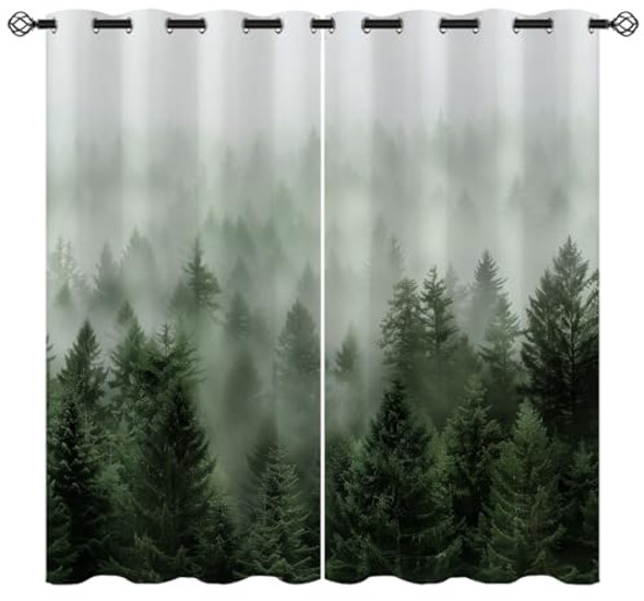 Green Misty Forest_01