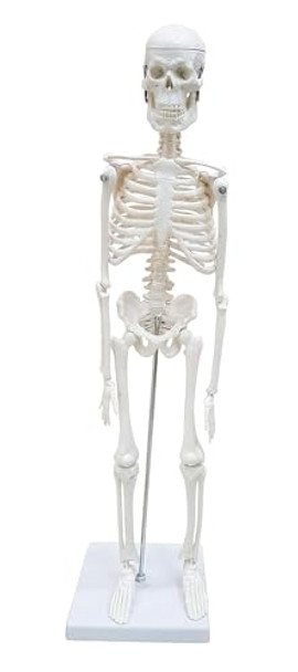 21mfBgmlzfL._SL500_.jpg