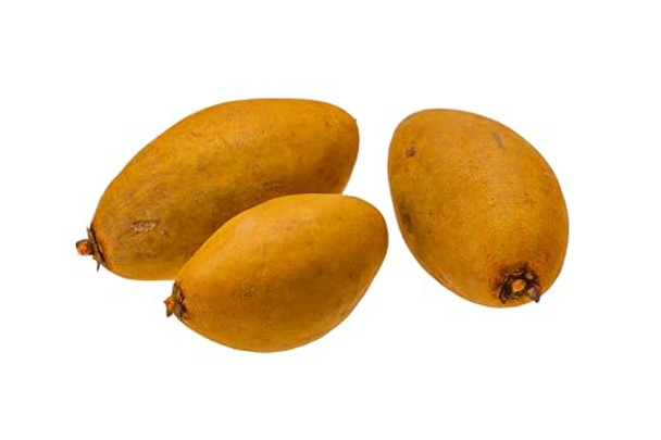 31OJTTSAJZL._SL500_.jpg