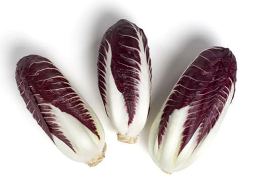 41XHESIltSL._SL500_.jpg