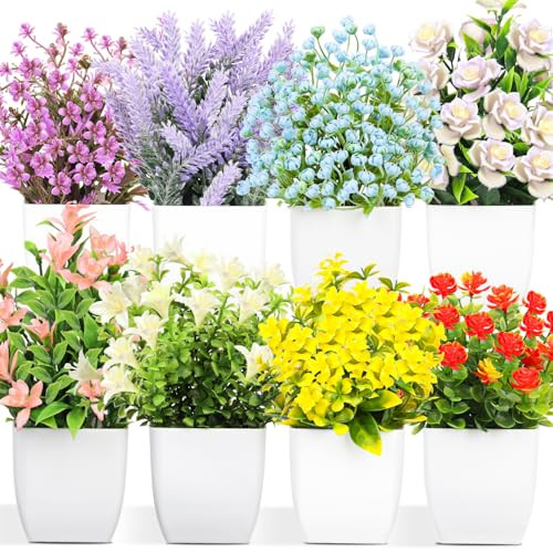 8 Pack Colorful Flower Plant With Pot