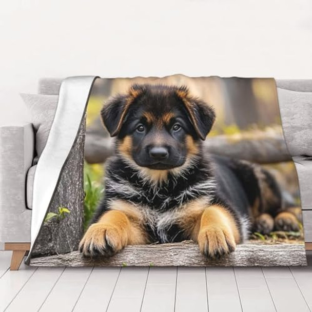 German Shepherd Puppy