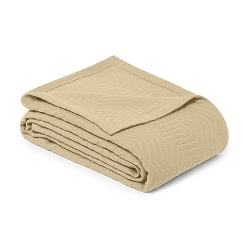 Aster Beige