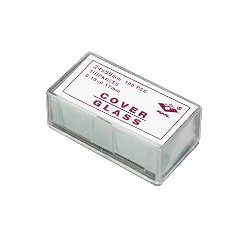 4152iJ+V5oL._SL500_.jpg
