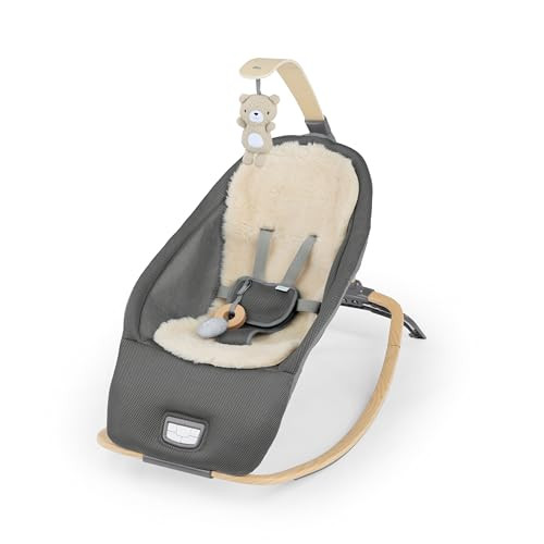 2-in-1 Baby Rocker & Seat