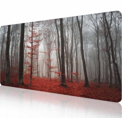 Autumn Forest
