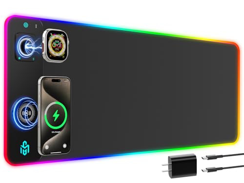 Black-Dual Charger