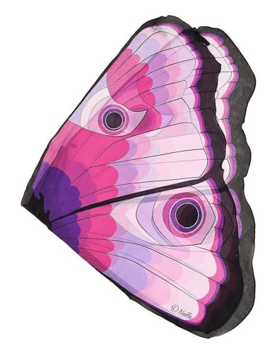 41-NHDwcy-L._SL500_.jpg