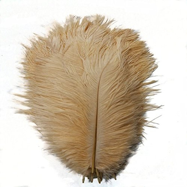 51eHErt-kbL._SL500_.jpg