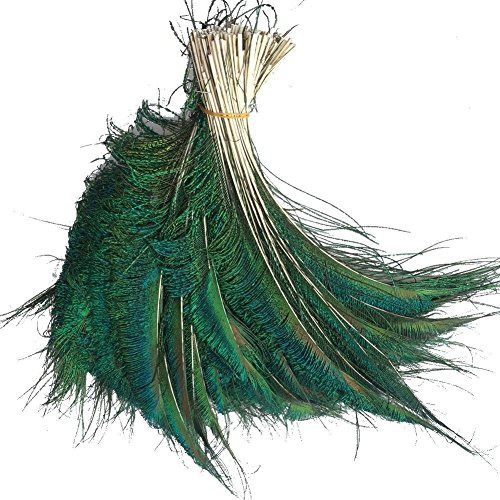 61J8ukB5-UL._SL500_.jpg