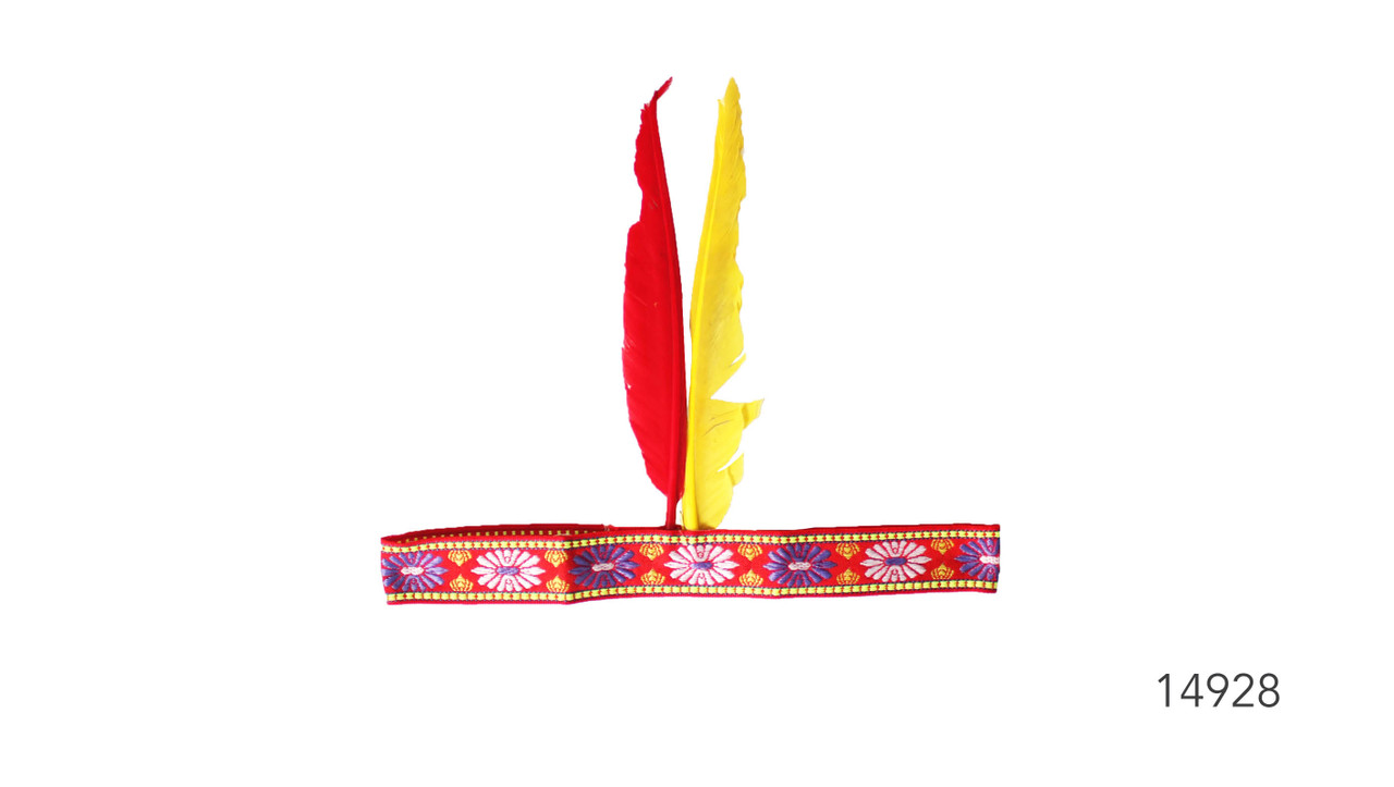 amerindian headpiece