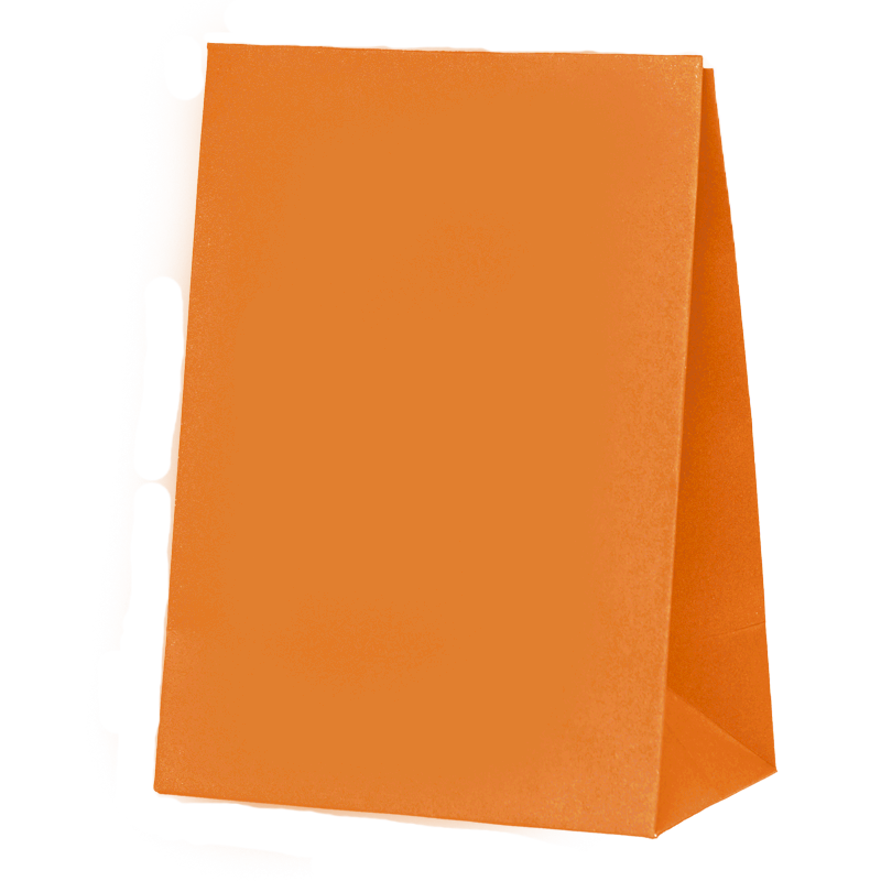 FS Paper Party Bag Tangerine 10pk