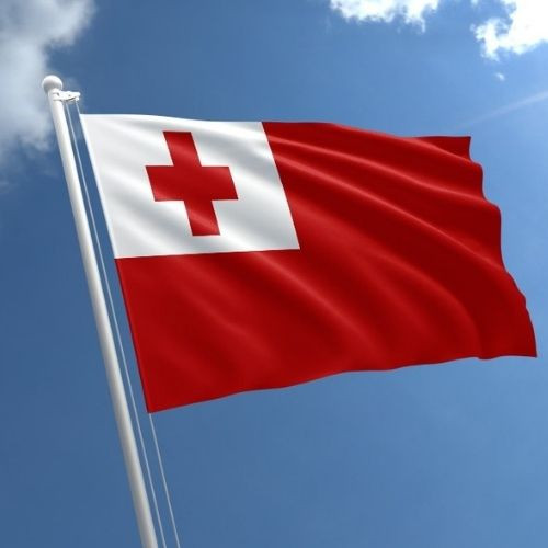 Tonga Flag 90x150cm Discount Party Warehouse