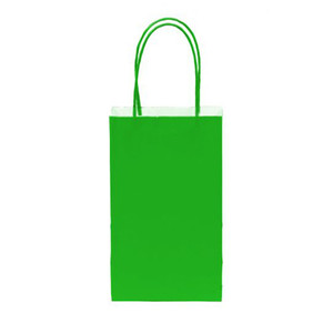 12 PK Paper Bag - Green Small