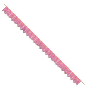 Disney Princess Pennant Banner