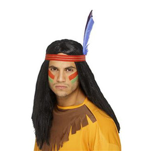 Mens Black Indian Brave Wig