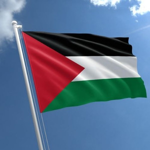 Palestine Flag - 90x150cm