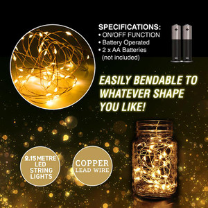 Fairy Lights Warm White Copper Battery Operated 20pk