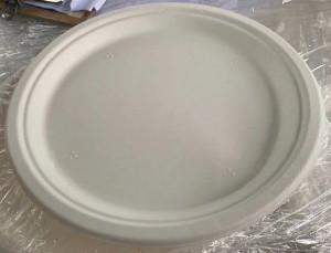 Sugarcane 10 Inch (260mm) Round Plates, 400PCS