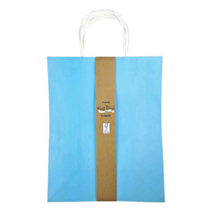 Fsc Mix Bag Large Kraft 5Pk Light Blue 32.2cm