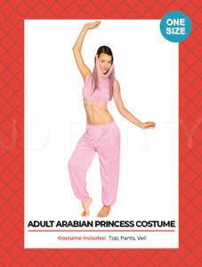 Adult Arabian Princess Costume