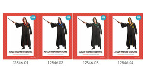 Harry The  Wizard Adult Costume