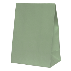 FS Favour Paper Party Bag Eucalyptus 10pk