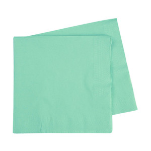 FS Lunch Napkin 330mm Mint Green 40pk