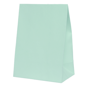 FS Paper Party Bag Mint Green 10pk